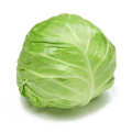 New Crop Round Shape Chinese Fresh Cabbage